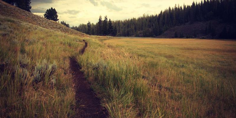 中国平安旗下金融壹账通：如何以科技赋能，重塑中小金融机构的投资理财生态？