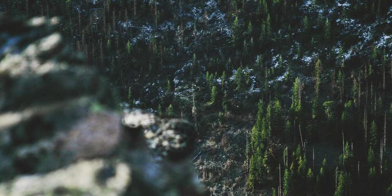 从保险巨头到AI Bank:平安银行如何用科技重塑普惠金融与消费信贷新生态?