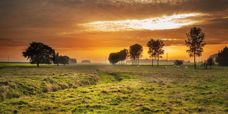 从被动理赔到主动管理：平安健康险如何用“保险+医疗”闭环重塑行业价值