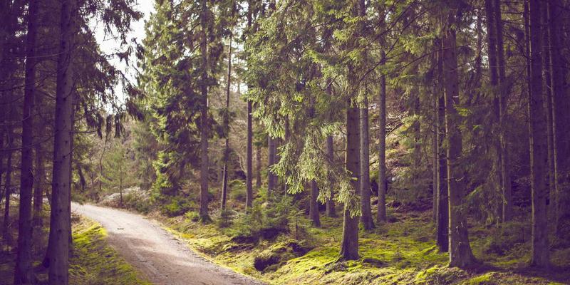 穿越周期，价值几何？深度解析中国平安（601318）的投资逻辑与未来机遇