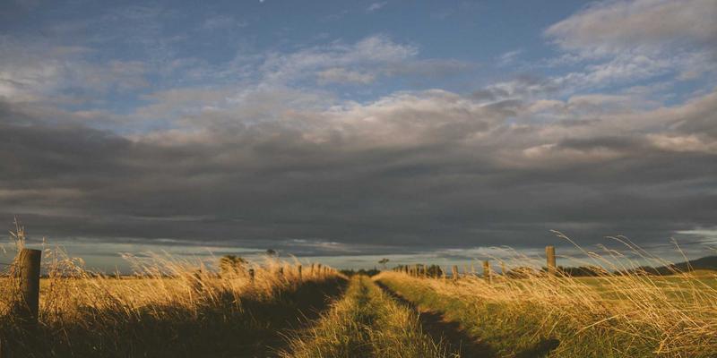 穿越周期：解码中国平安万亿另类投资版图，如何通过私募、基建与绿色金融重塑财富逻辑