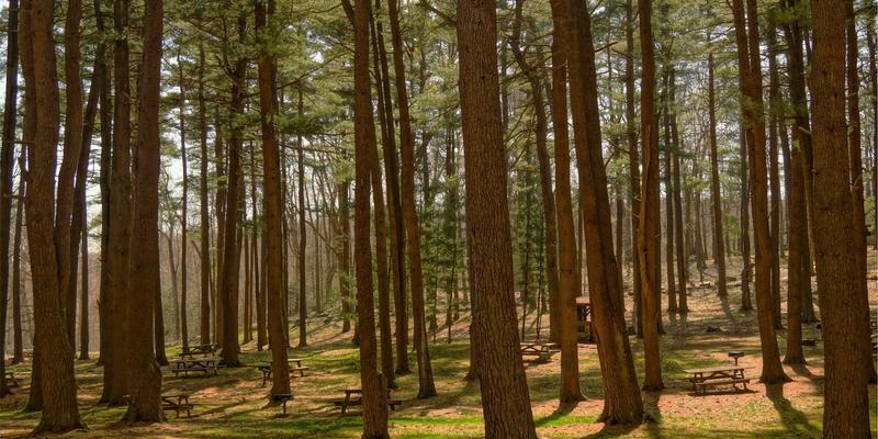 险资出海新标杆:解码中国平安全球资产配置的智慧与平衡术
